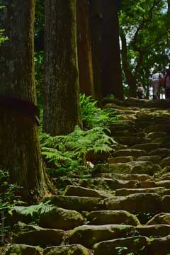 fire festival nachi falls