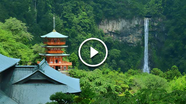 nachi falls cover